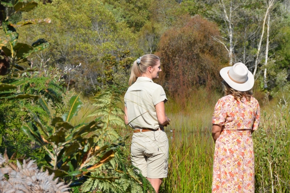 Guided Walks &amp; Talks