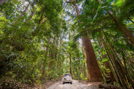 Fraser Island Self Drive