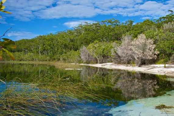 K'gari (Fraser Island) Research